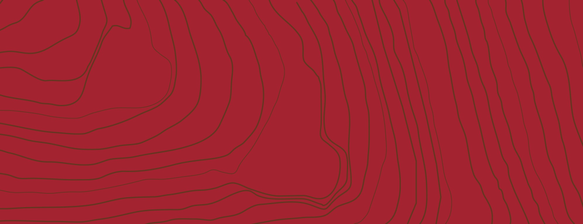 Terra Quente: Sara Rodrigues com Rodrigo B. Camacho<br>