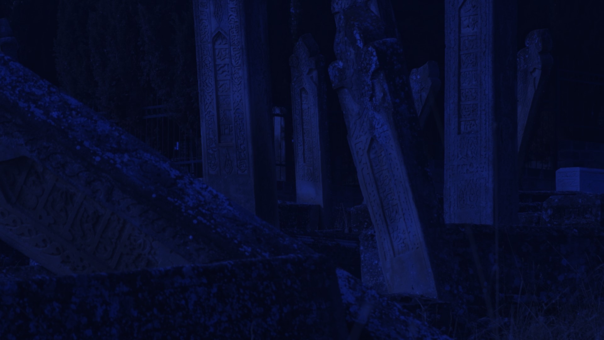 Vasco Araújo: Liebestod – Amor e Morte, curadoria de/ curated by Bruno Marques<br>