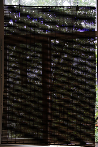 Flor de Sal, <br>Diana Carvalho <br>curadoria de / curated by Óscar Faria
