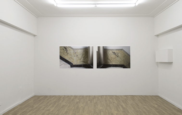 Flor de Sal, <br>Diana Carvalho <br>curadoria de / curated by Óscar Faria