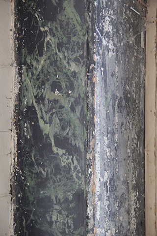 Flor de Sal, <br>Diana Carvalho <br>curadoria de / curated by Óscar Faria