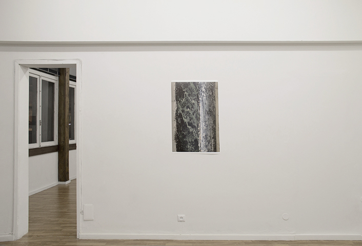 Flor de Sal, <br>Diana Carvalho <br>curadoria de / curated by Óscar Faria