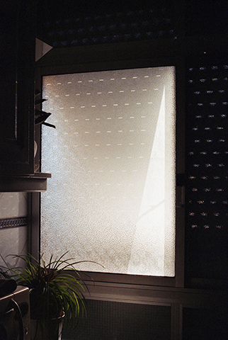 Flor de Sal, <br>Diana Carvalho <br>curadoria de / curated by Óscar Faria