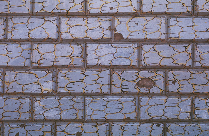 Flor de Sal, <br>Diana Carvalho <br>curadoria de / curated by Óscar Faria