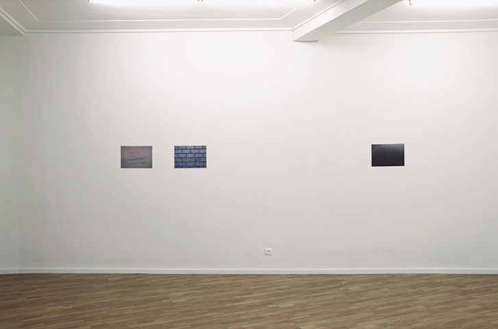 Flor de Sal, <br>Diana Carvalho <br>curadoria de / curated by Óscar Faria