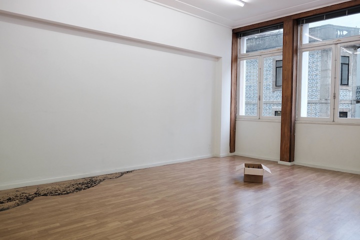 Wild sea money, <br>Vasco Barata <br>curadoria de / curated by João Silvério