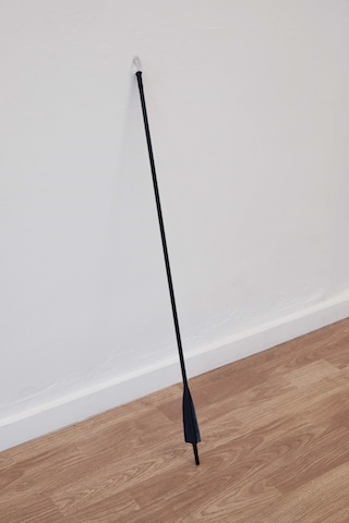 Wild sea money, <br>Vasco Barata <br>curadoria de / curated by João Silvério