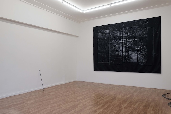 Wild sea money, <br>Vasco Barata <br>curadoria de / curated by João Silvério