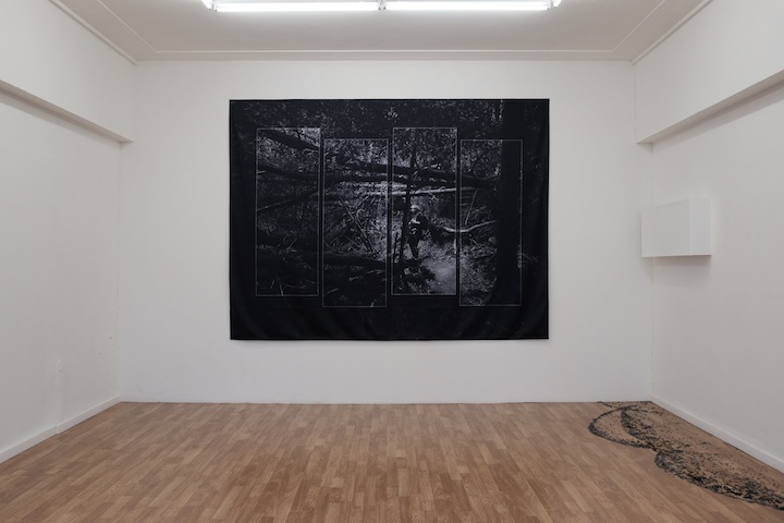 Wild sea money, <br>Vasco Barata <br>curadoria de / curated by João Silvério