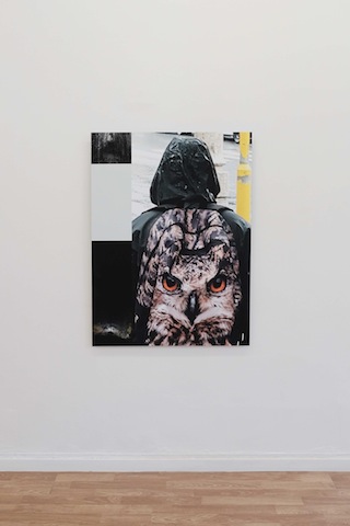Wild sea money, <br>Vasco Barata <br>curadoria de / curated by João Silvério