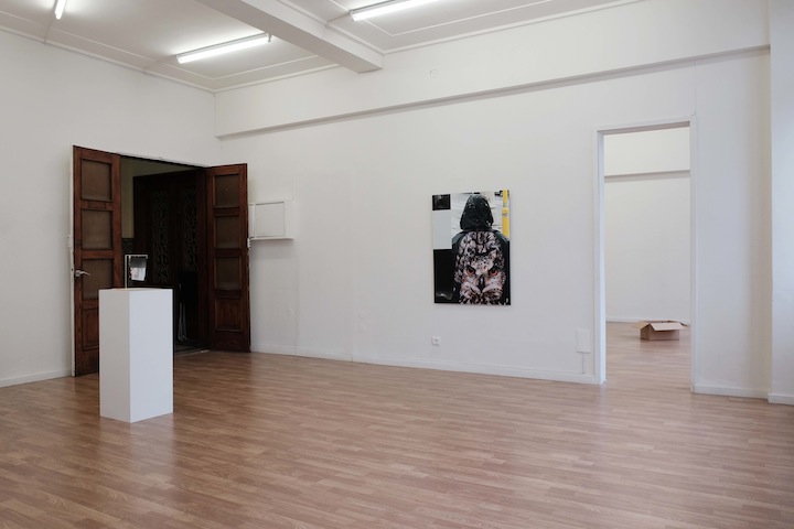 Wild sea money, <br>Vasco Barata <br>curadoria de / curated by João Silvério