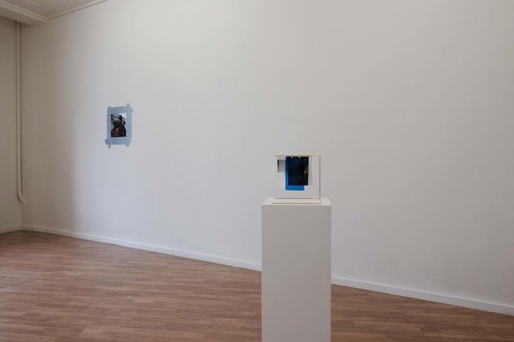 Wild sea money, <br>Vasco Barata <br>curadoria de / curated by João Silvério