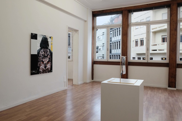 Wild sea money, <br>Vasco Barata <br>curadoria de / curated by João Silvério