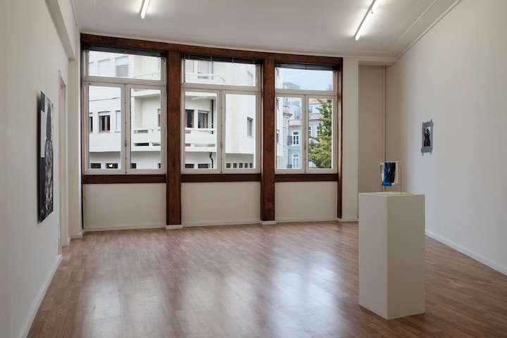 Wild sea money, <br>Vasco Barata <br>curadoria de / curated by João Silvério