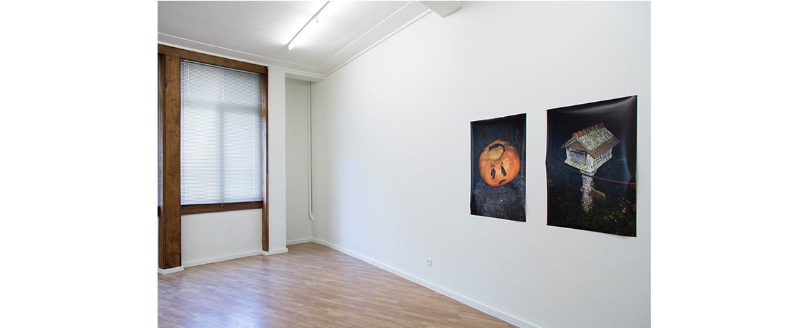 Rik Peeters, Work hard, play harder!!! Curadoria de/Curated by Pedro Huet