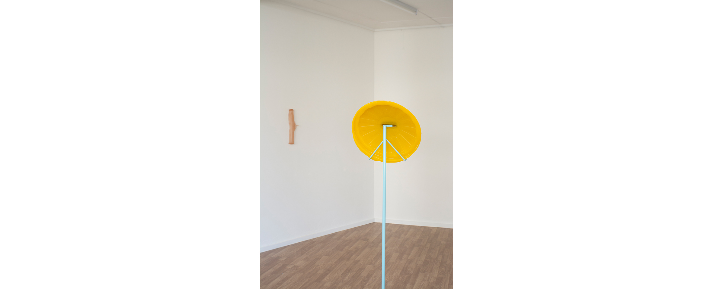Belén Uriel, Qualia. Curadoria de/Curated by Miguel Wandschneider