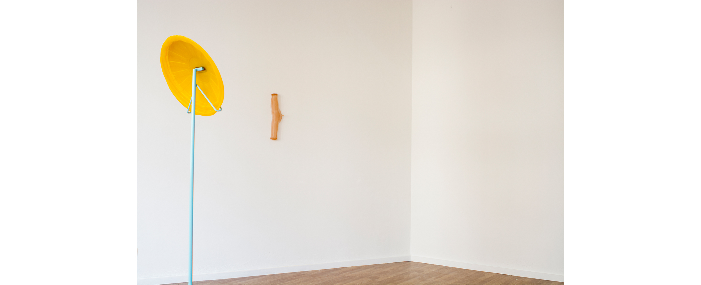 Belén Uriel, Qualia. Curadoria de/Curated by Miguel Wandschneider