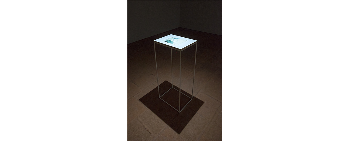Filipa Tojal: The trees all singing <br>Curadoria de / Curated by Óscar Faria [Casa das Artes]