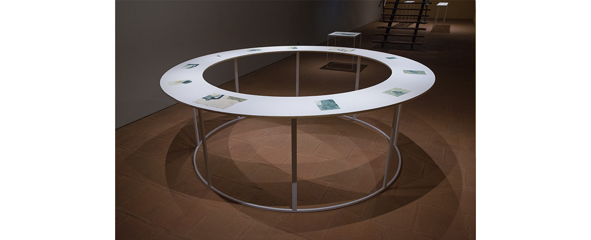 Filipa Tojal: The trees all singing <br>Curadoria de / Curated by Óscar Faria [Casa das Artes]