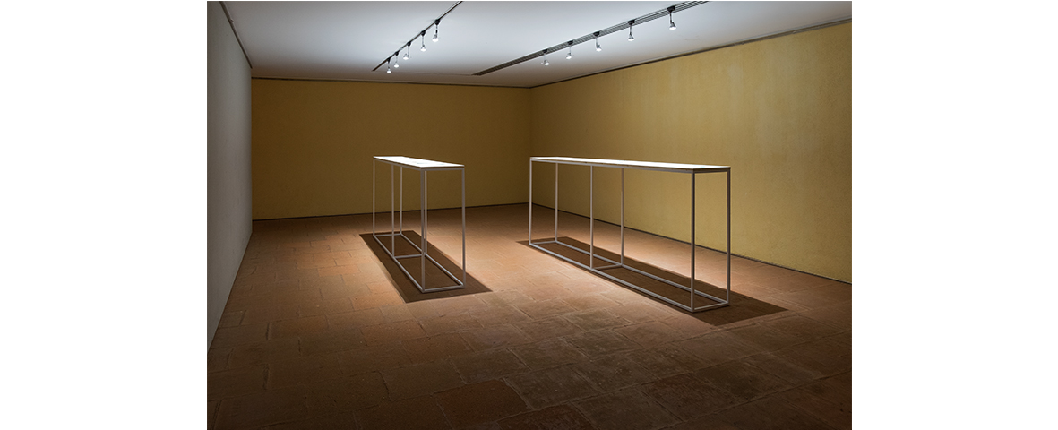 Filipa Tojal: The trees all singing <br>Curadoria de / Curated by Óscar Faria [Casa das Artes]