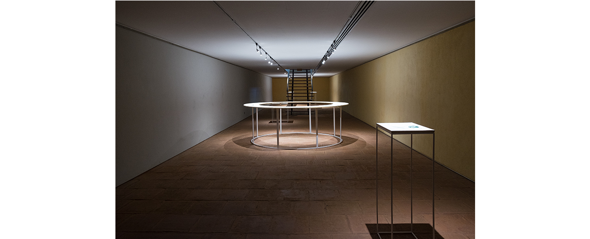 Filipa Tojal: The trees all singing <br>Curadoria de / Curated by Óscar Faria [Casa das Artes]
