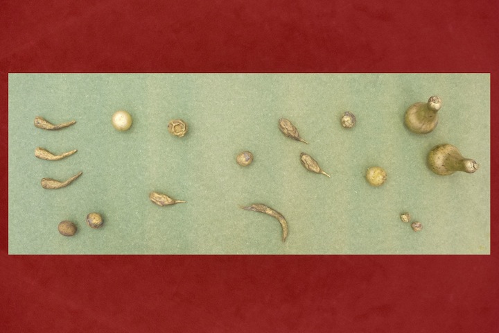 Eduardo Petersen: A caminho de Marte, curadoria de / Curated by Óscar Faria<br>