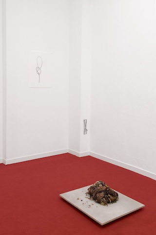 Raquel Moreira: Volta do Salteador<br>