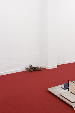 Raquel Moreira: Volta do Salteador<br>