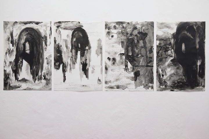 Susanne Themlitz: Longe. Desvelado. Ao vento, curadoria de / curated by Óscar Faria<br>