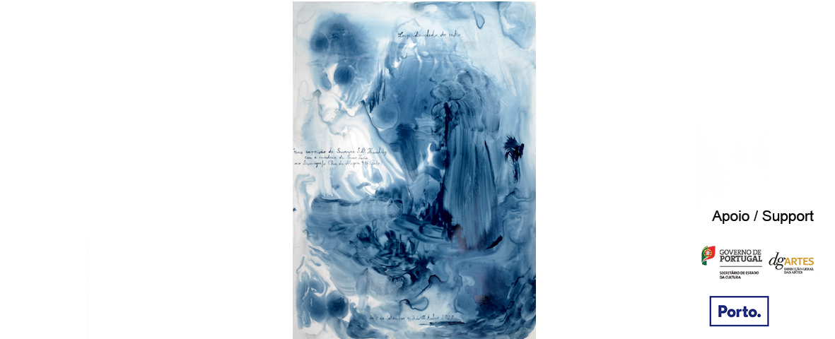 Susanne Themlitz: Longe. Desvelado. Ao vento, curadoria de / curated by Óscar Faria<br>